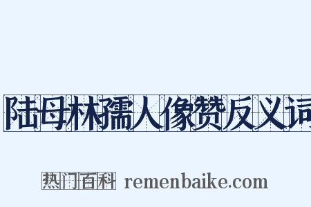 陆母林孺人像赞反义词是什么意思的图片